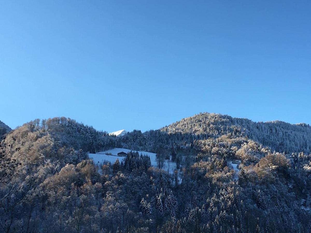 Nant D Ant Apartamento Samoëns Exterior foto